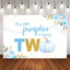 Mocsicka Little Blue Pumpkin is Turning Two Baby Shower Backdrops-Mocsicka Party