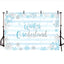 Mocsicka Winter Onederland Snowflakes and Stripes Baby Shower Backdrop