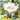 Mocsicka Jurassic Dinosaur Birthday Back Drop Custom Newborn Backdrops-Mocsicka Party