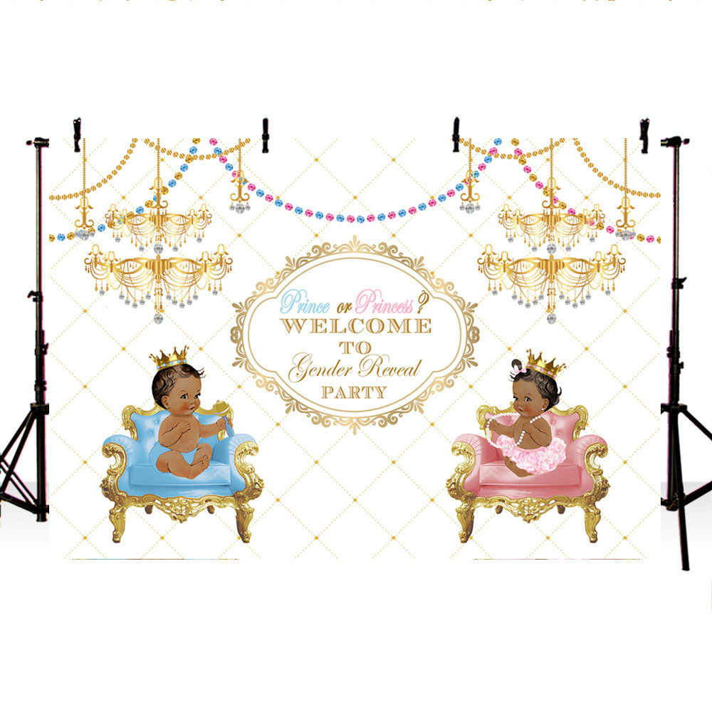 Mocsicka Prince or Princess Welcome to Gender Reveal Baby Shower Party Decoration