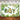 Mocsicka Little Leopard and Plam Leaves Oh Boy Baby Shower Backdrop-Mocsicka Party
